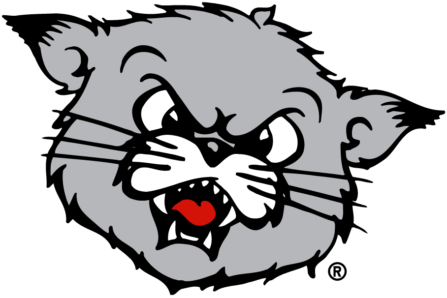 Cincinnati Bearcats 1990-2005 Partial Logo diy iron on heat transfer
